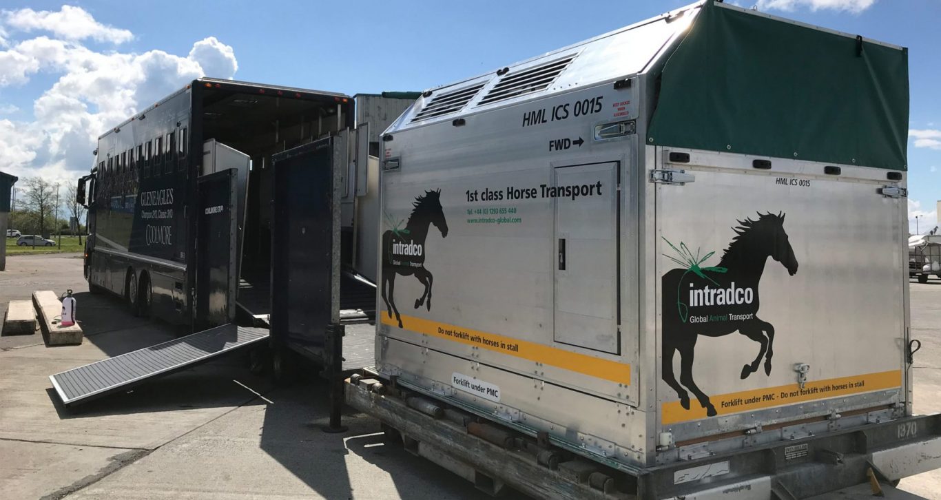Global Leaders in Equine and Animal Transport Intradco Global