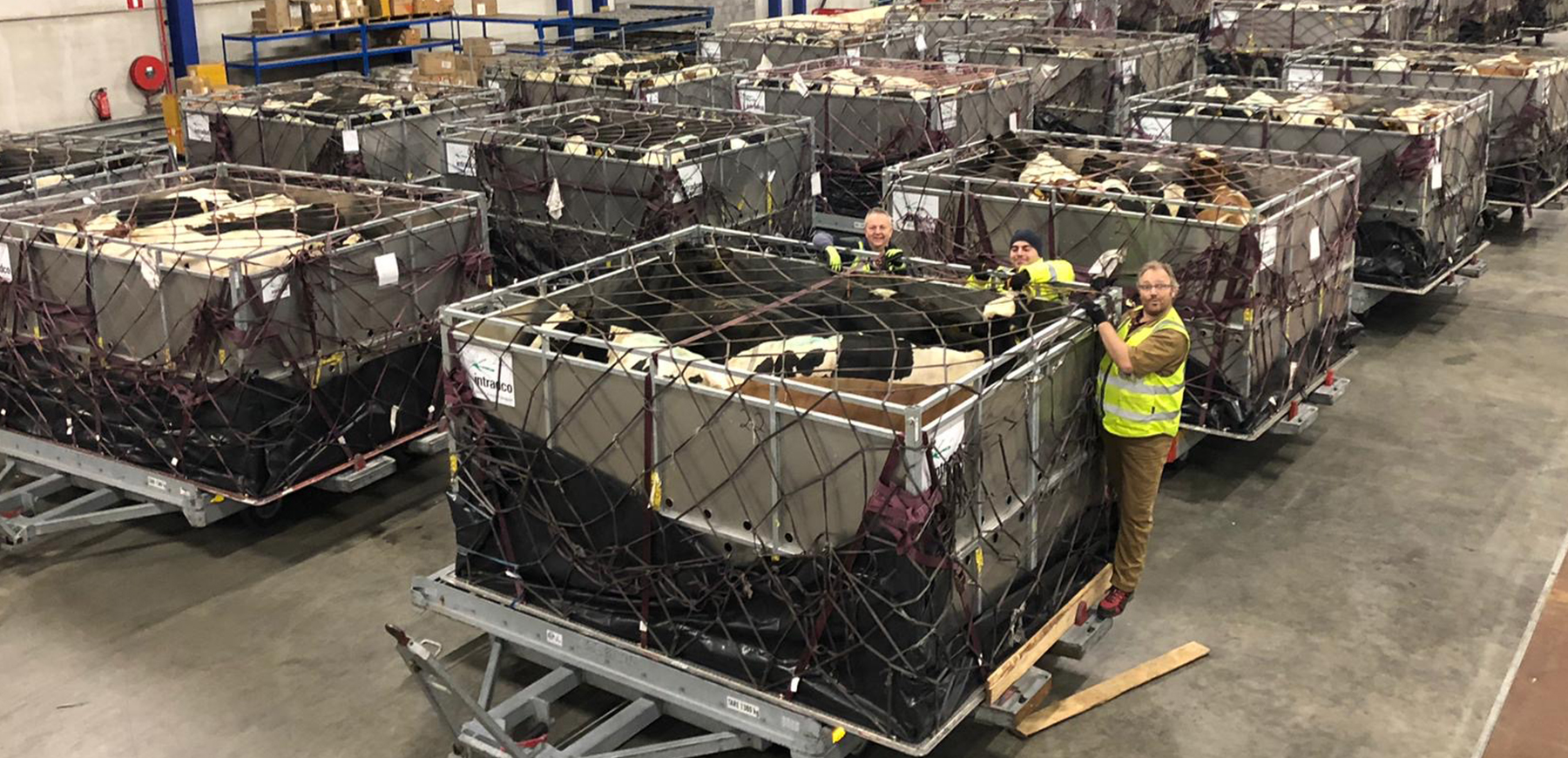 CuttingEdge Livestock Equipment Livestock Air Charters